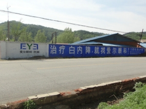 愛爾眼科 (2)